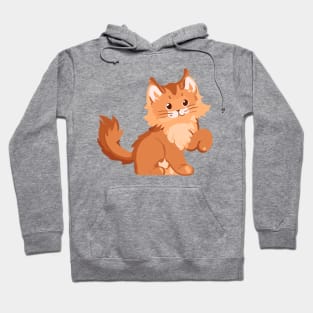 The Feline Majesty: An Impressive Maine Coon Hoodie